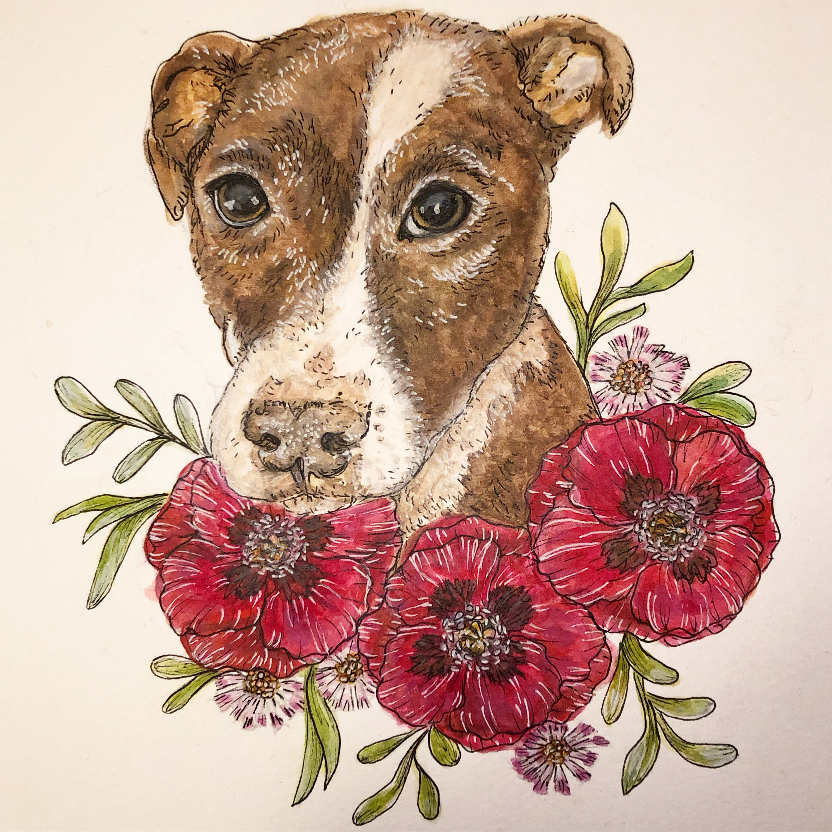 Portrait by Amy Sylvester